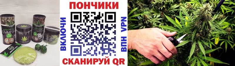 Cannafood конопля  Купить закладки  Городец 