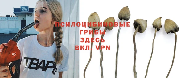 хмурый Краснослободск