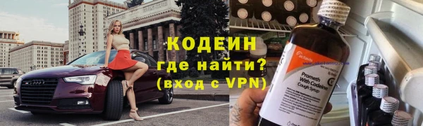 индика Козловка