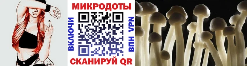 Псилоцибиновые грибы ЛСД  Купить закладки  Городец 
