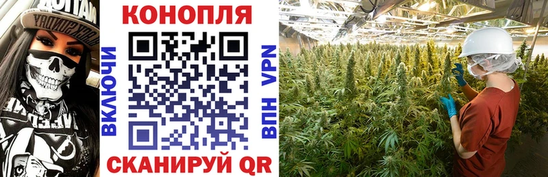 Канабис тримм  Купить закладки  Городец 